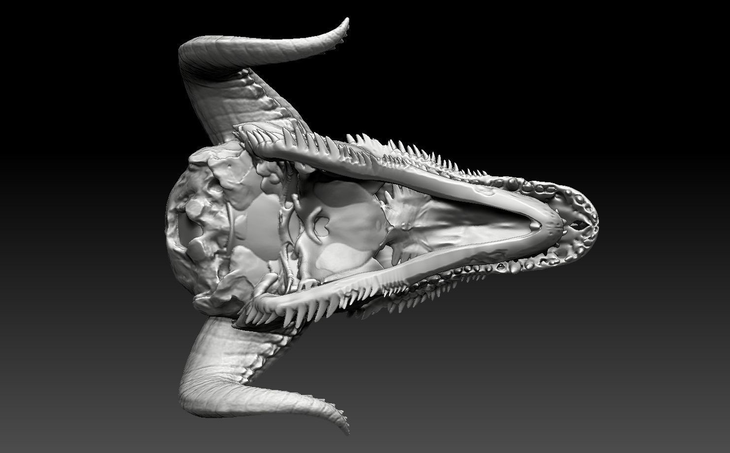 dragon skull 1 3D print model_6