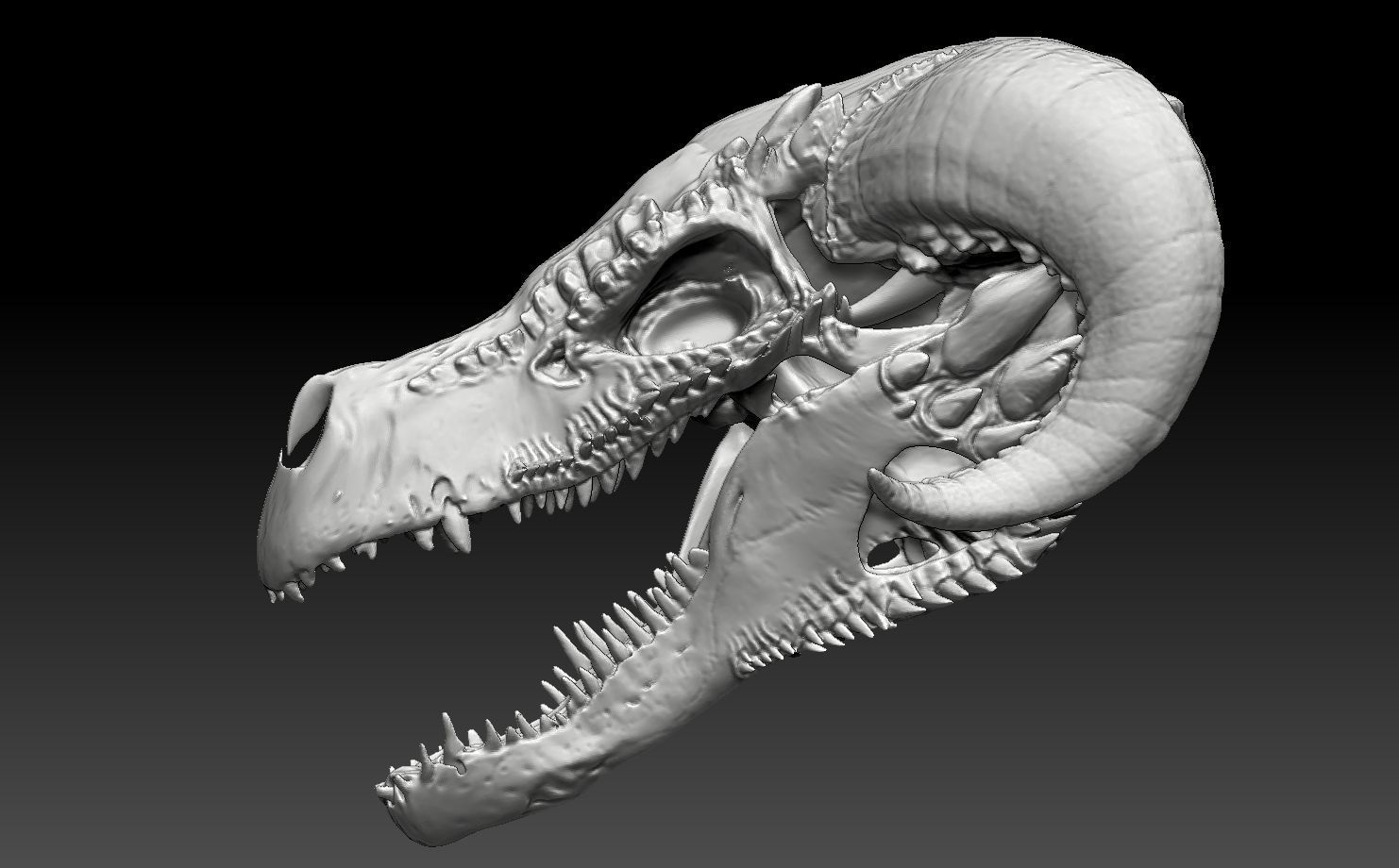 dragon skull 1 3D print model_3
