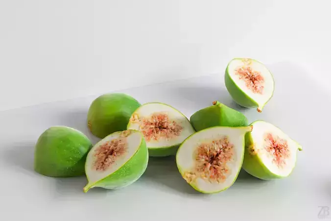 Fig   3D model