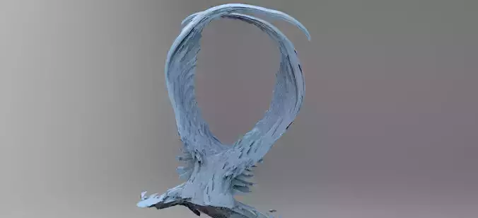 Dinosaur Spine Arch 1