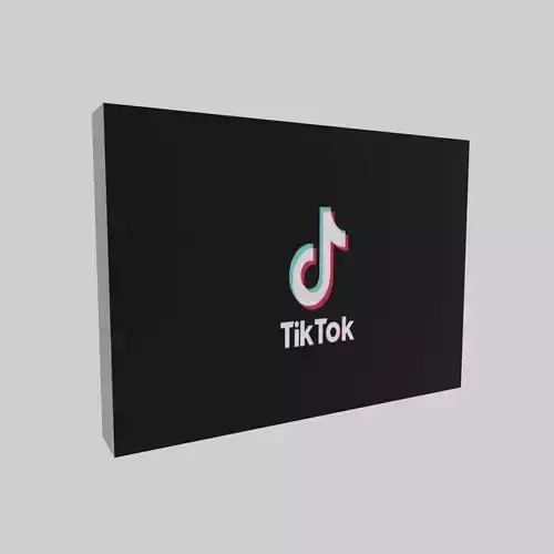 Tiktok icon