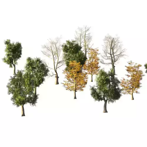 4 season London plane trees Low-poly 3D model