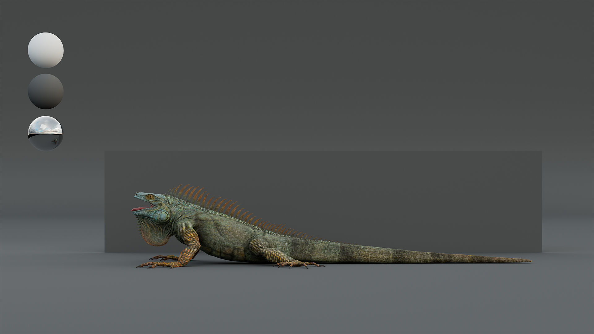 Iguana  Low-poly 3D model_8