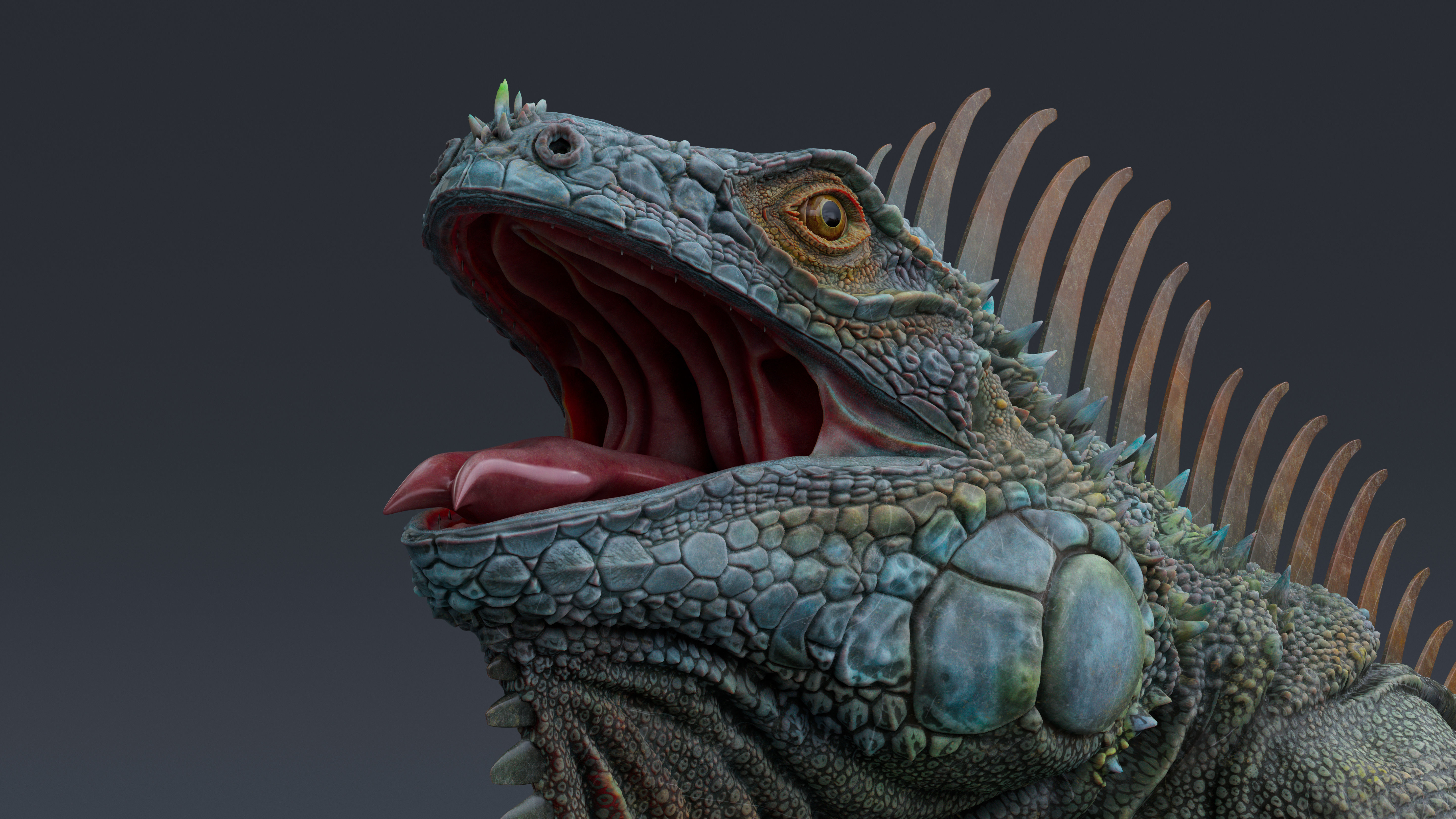 Iguana  Low-poly 3D model_9