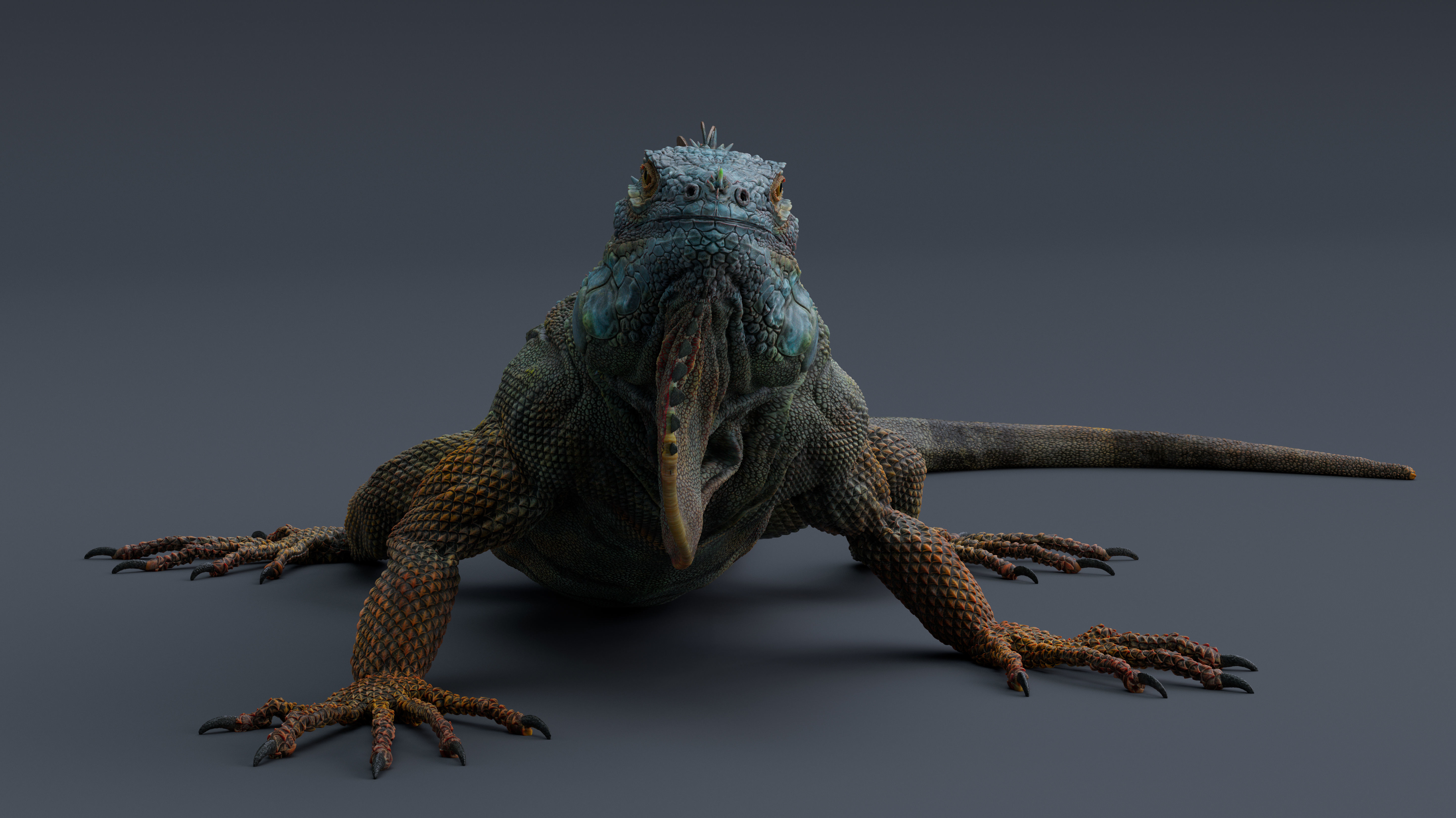 Iguana  Low-poly 3D model_6