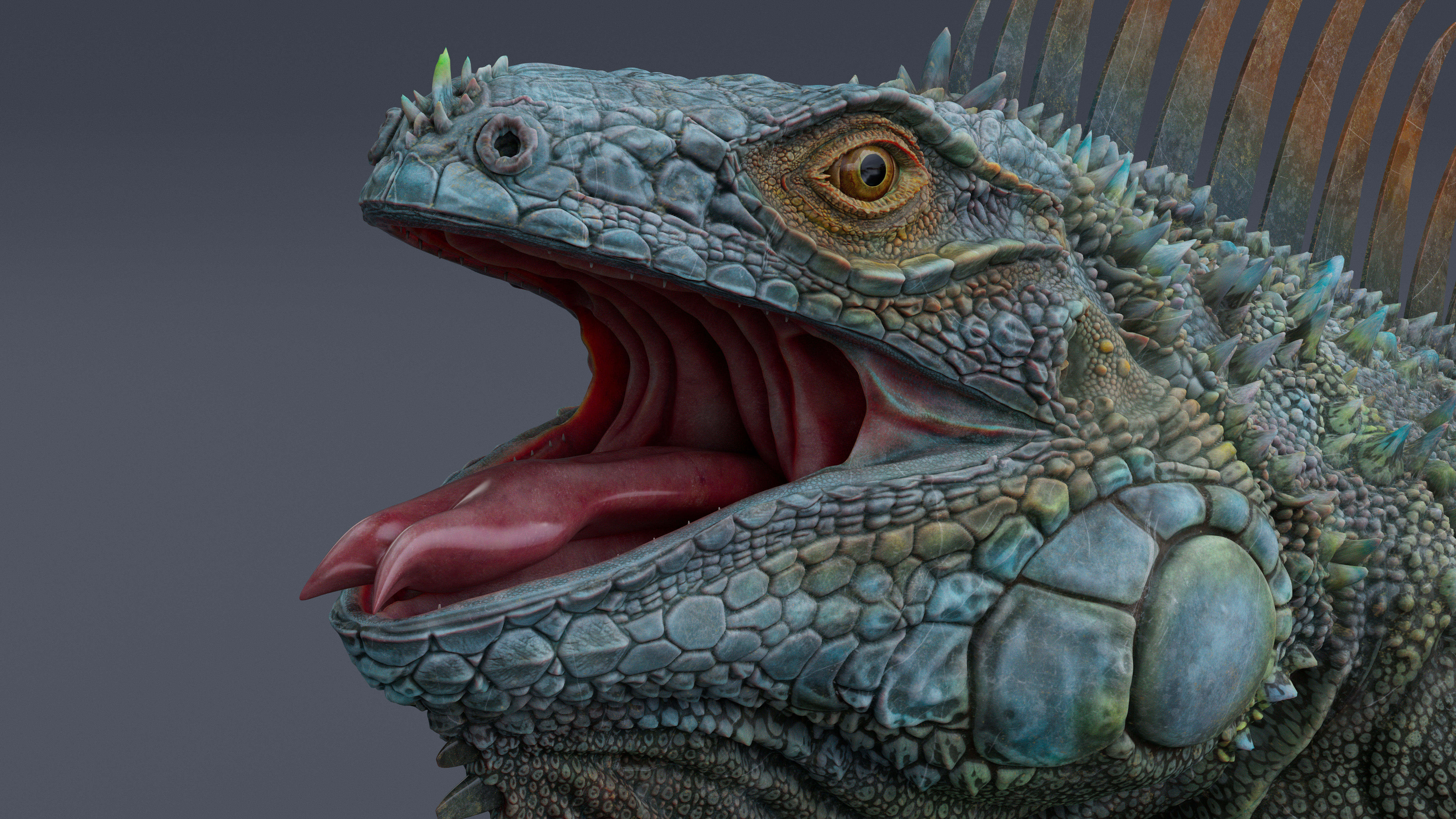 Iguana  Low-poly 3D model_11