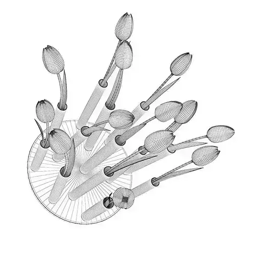 Tulips in Modern Pot