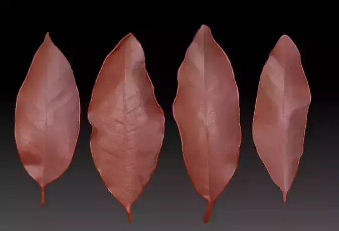 3D-printed leaves STL  3D print model