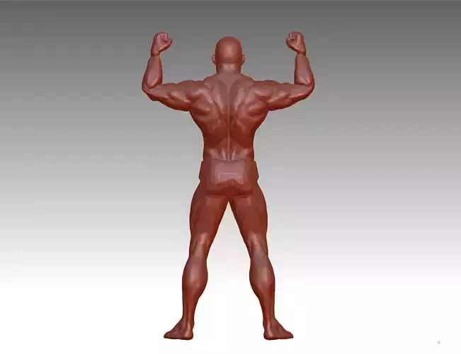 Hunk man 3D model figure male figure muscle human body 