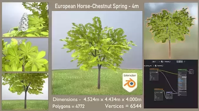 European Horse Chestnut 4m Spring Low-poly 3D model