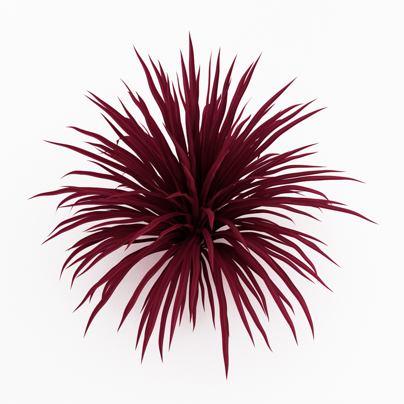 Cabbage Tree 3D model_1
