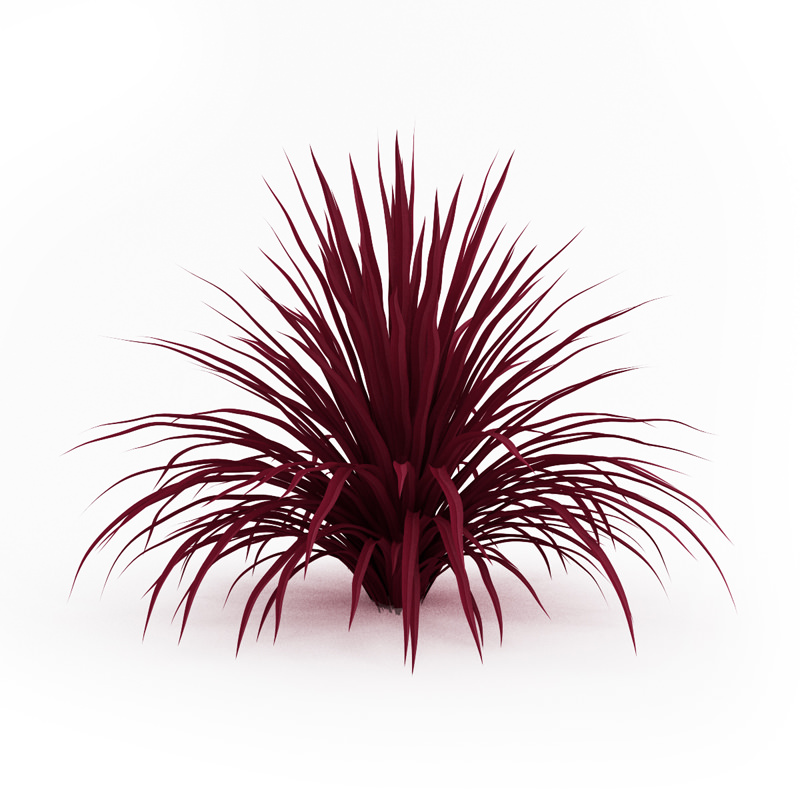 Cabbage Tree 3D model_3