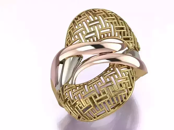 ring no 17 3D print model