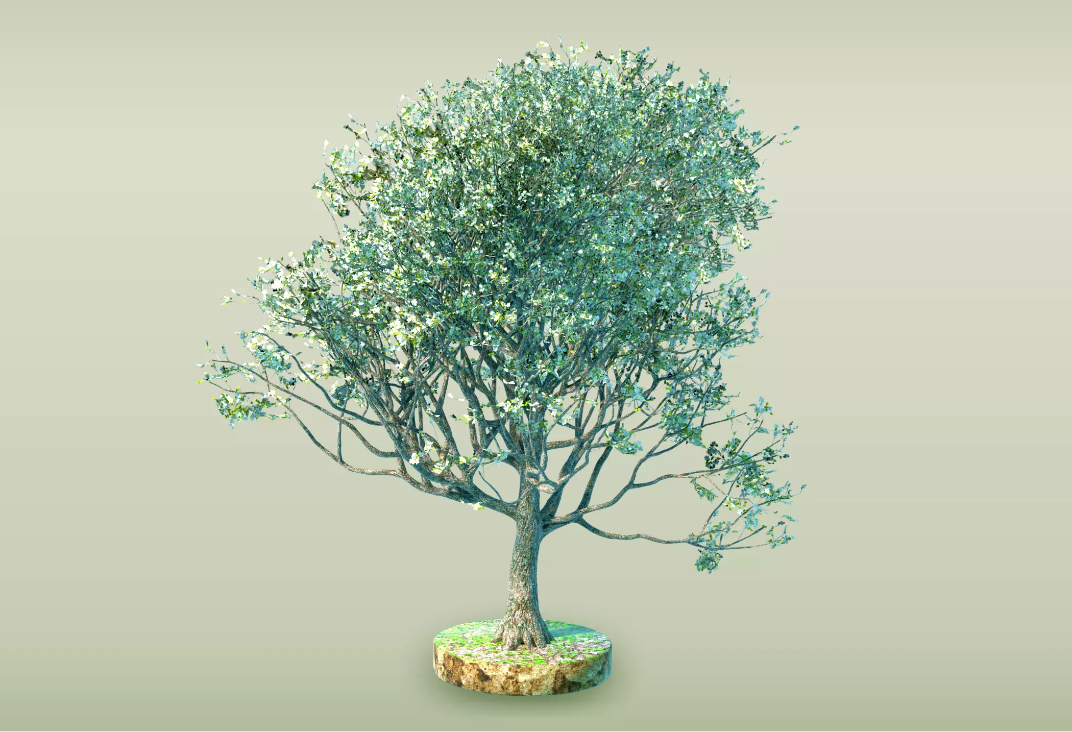 Tree - 3 Free 3D model