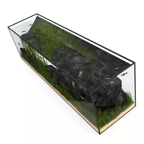 Large Rectangular Aquarium 3D model