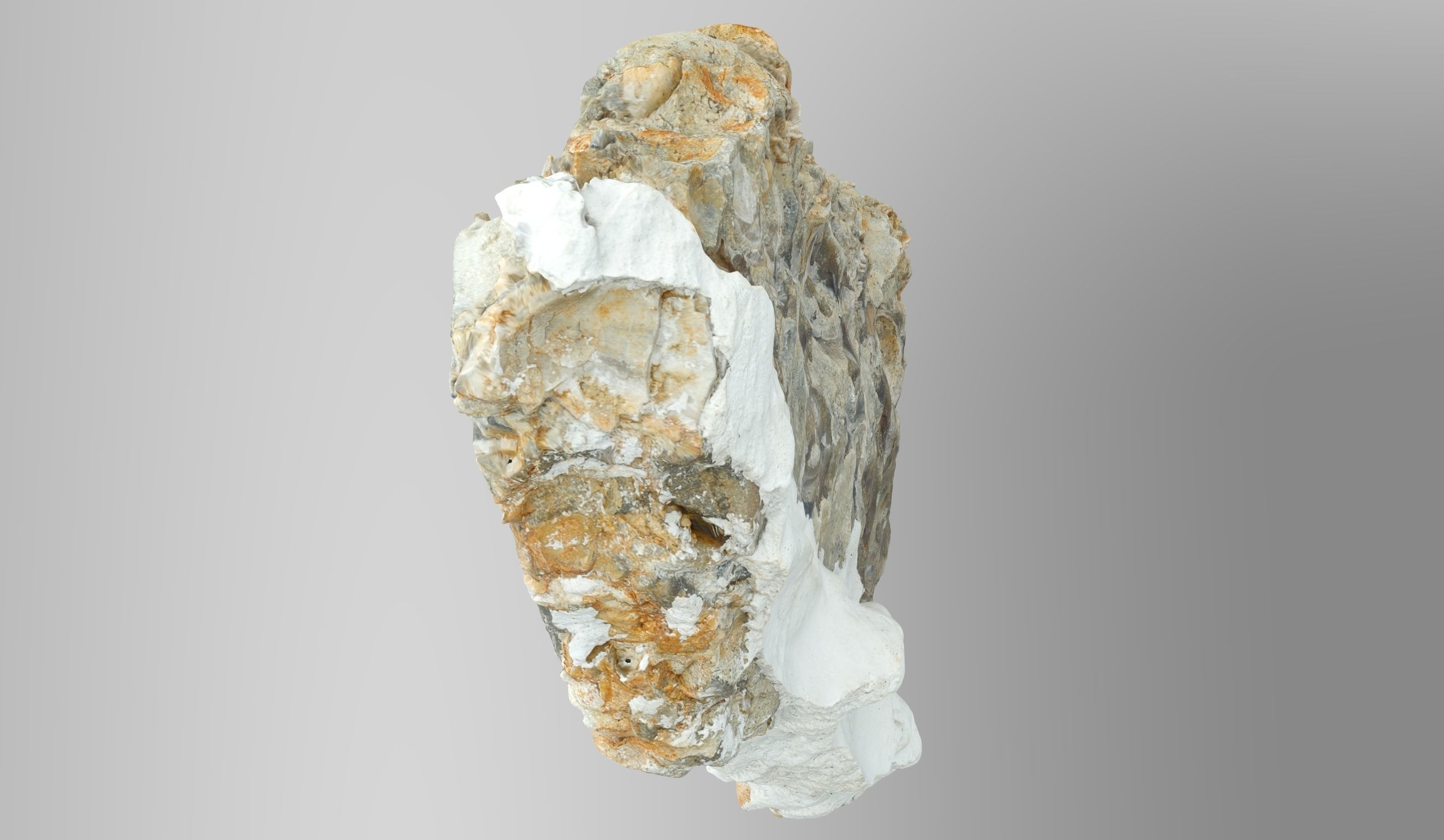 Chalcedony metasomatite with bivalve molluscs Low-poly 3D model_6