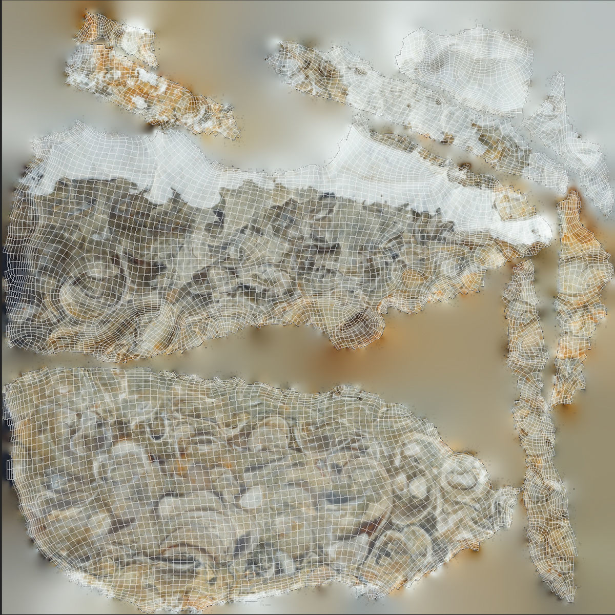 Chalcedony metasomatite with bivalve molluscs Low-poly 3D model_9