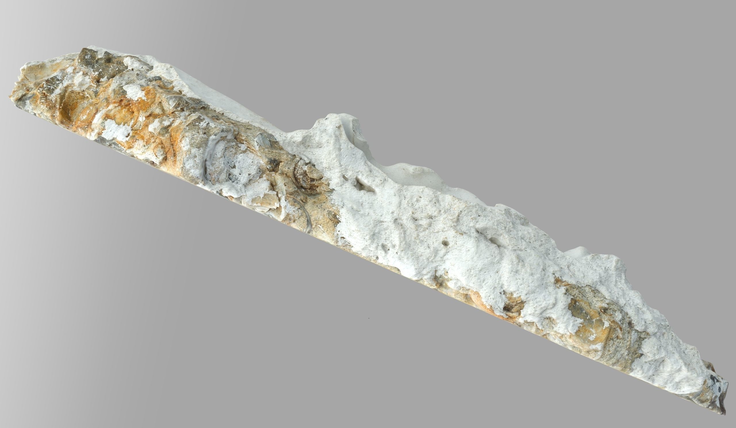 Chalcedony metasomatite with bivalve molluscs Low-poly 3D model_7