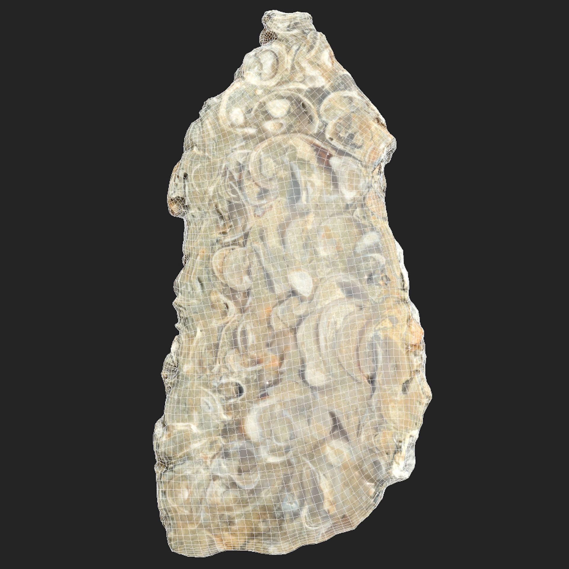 Chalcedony metasomatite with bivalve molluscs Low-poly 3D model_8