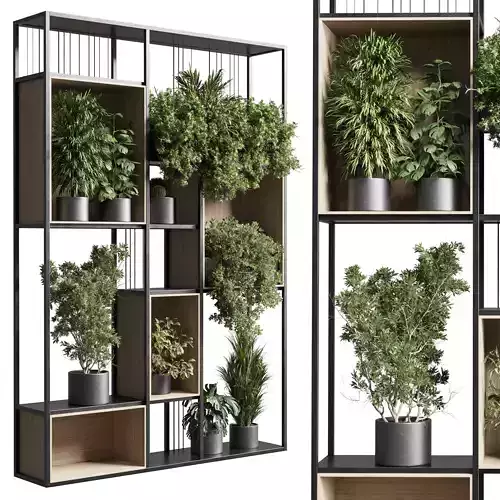 Standing metal shelf with a set 384 of plants in metal boxes