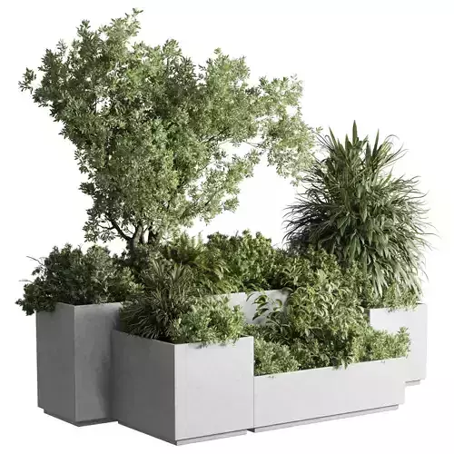 Concrete box plants on stand set indoor 385