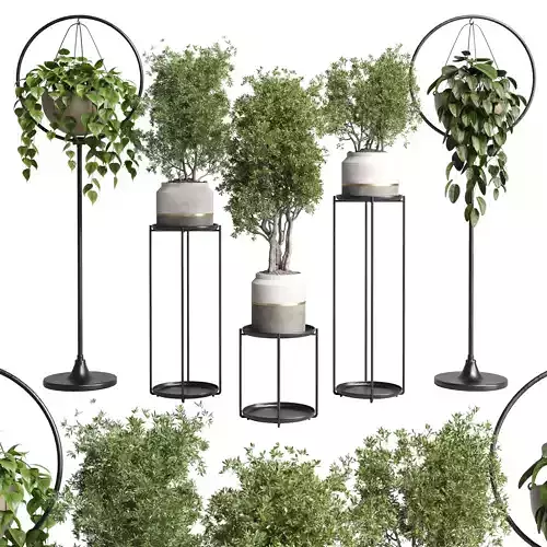 pot plant standing and hanging pot - wall plant set 386