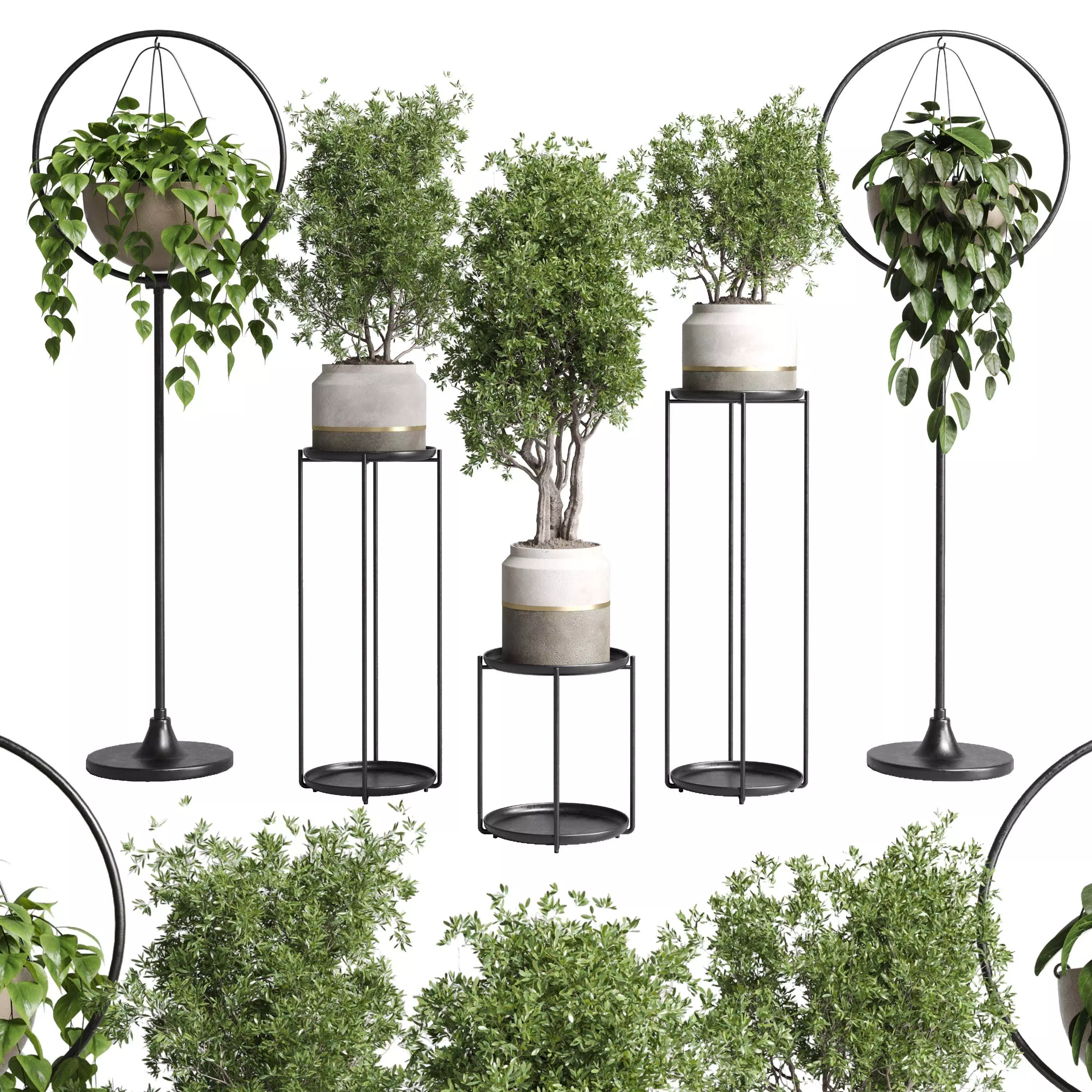 pot plant standing and hanging pot - wall plant set 386 Low-poly 3D model