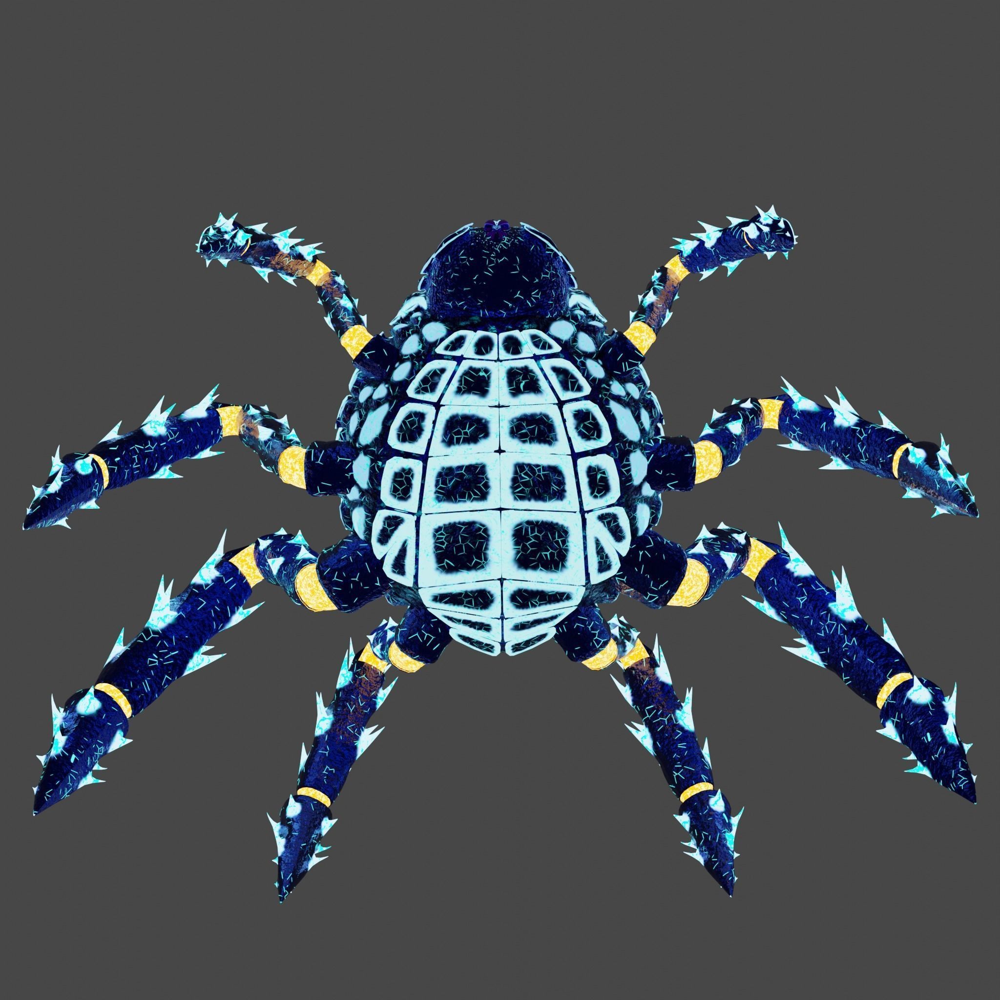 The cave spider Low-poly 3D model_7