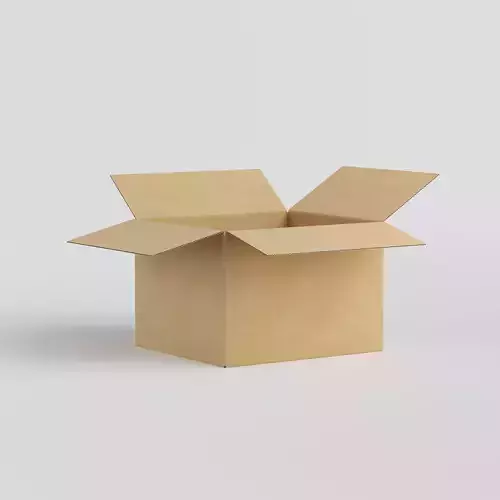 Cardboard Box Mockup 3D model