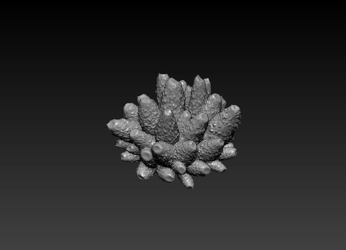 Coral set for 3D print 3D print model_5