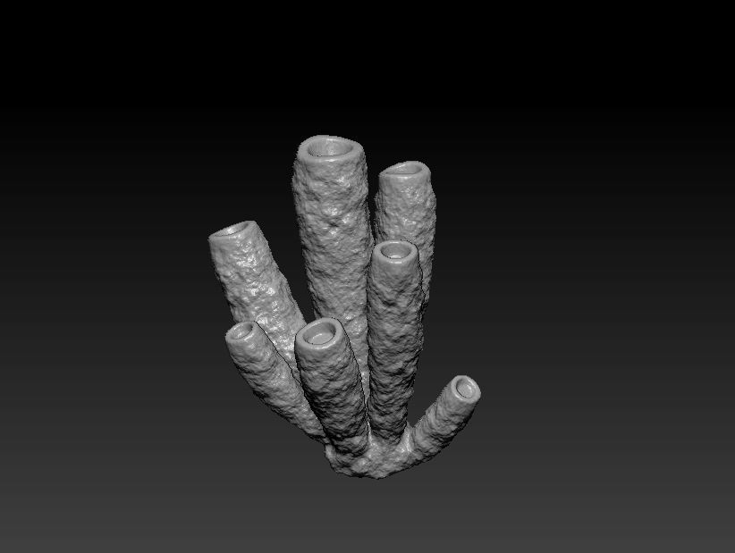 Coral set for 3D print 3D print model_6