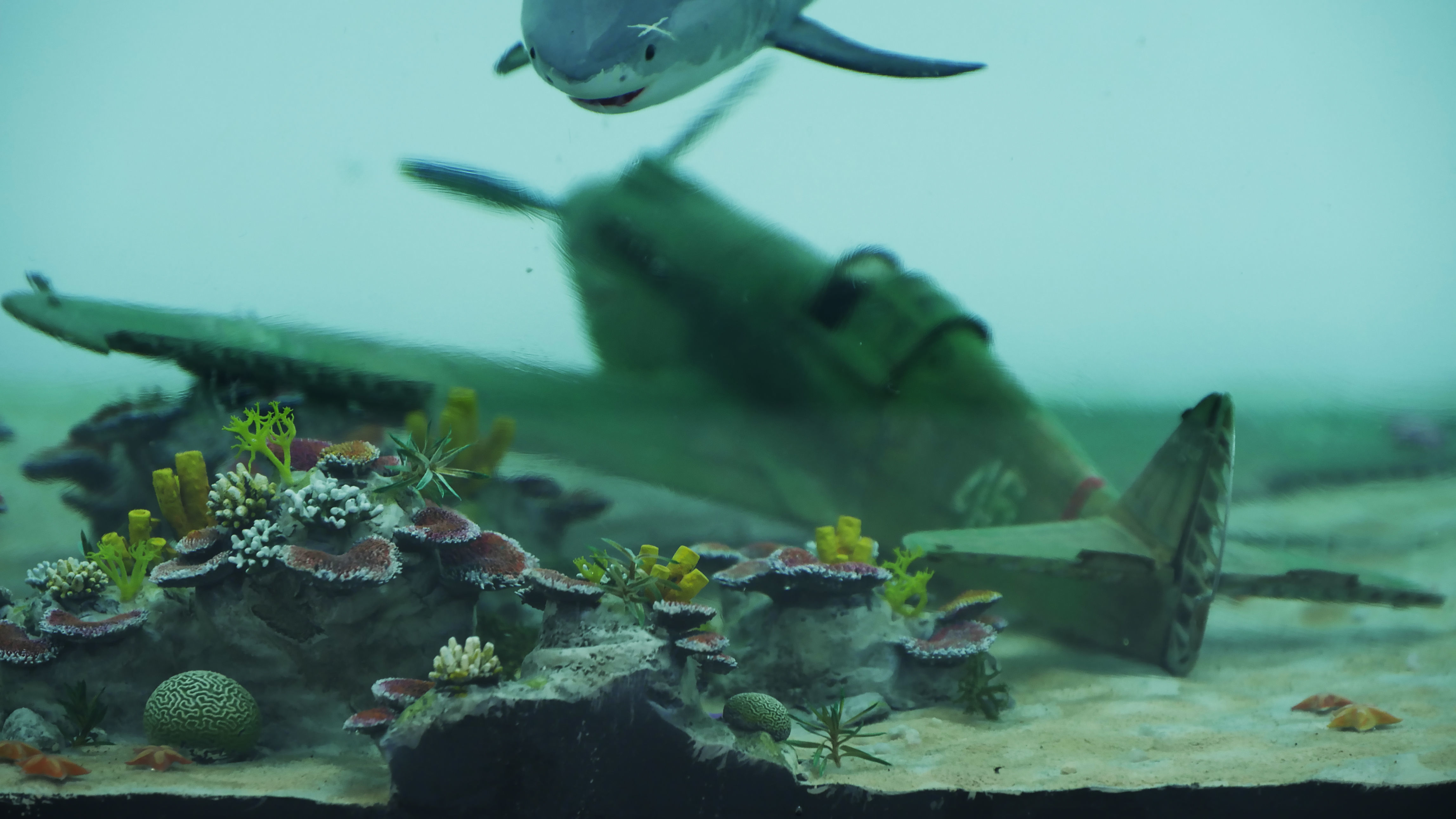 Coral set for 3D print 3D print model_8