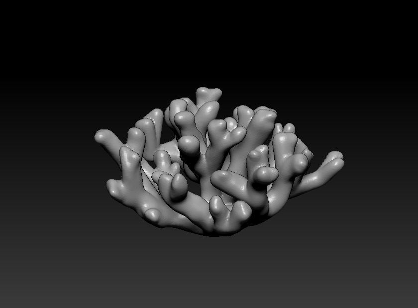 Coral set for 3D print 3D print model_4