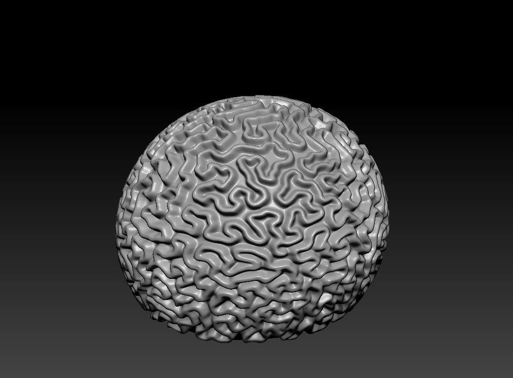 Coral set for 3D print 3D print model_2