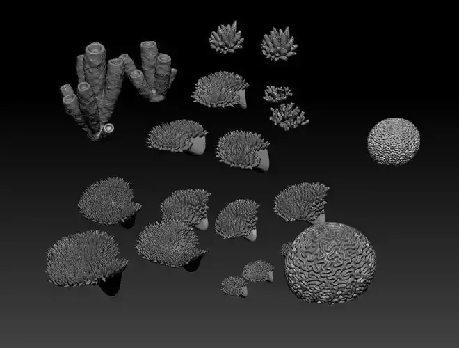 Coral set for 3D print 3D print model