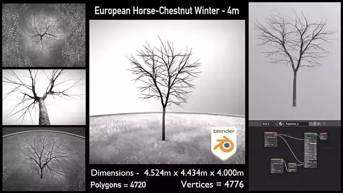 European Horse Chestnut 4m Winter Low-poly 3D model