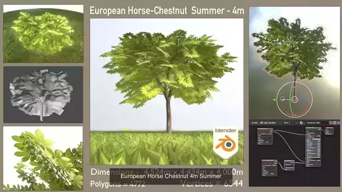 European horse chestnut 4m all seasons 3D Model Collection