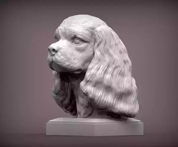 Spaniel cavalier king charles bust