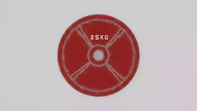 25KG gym plate