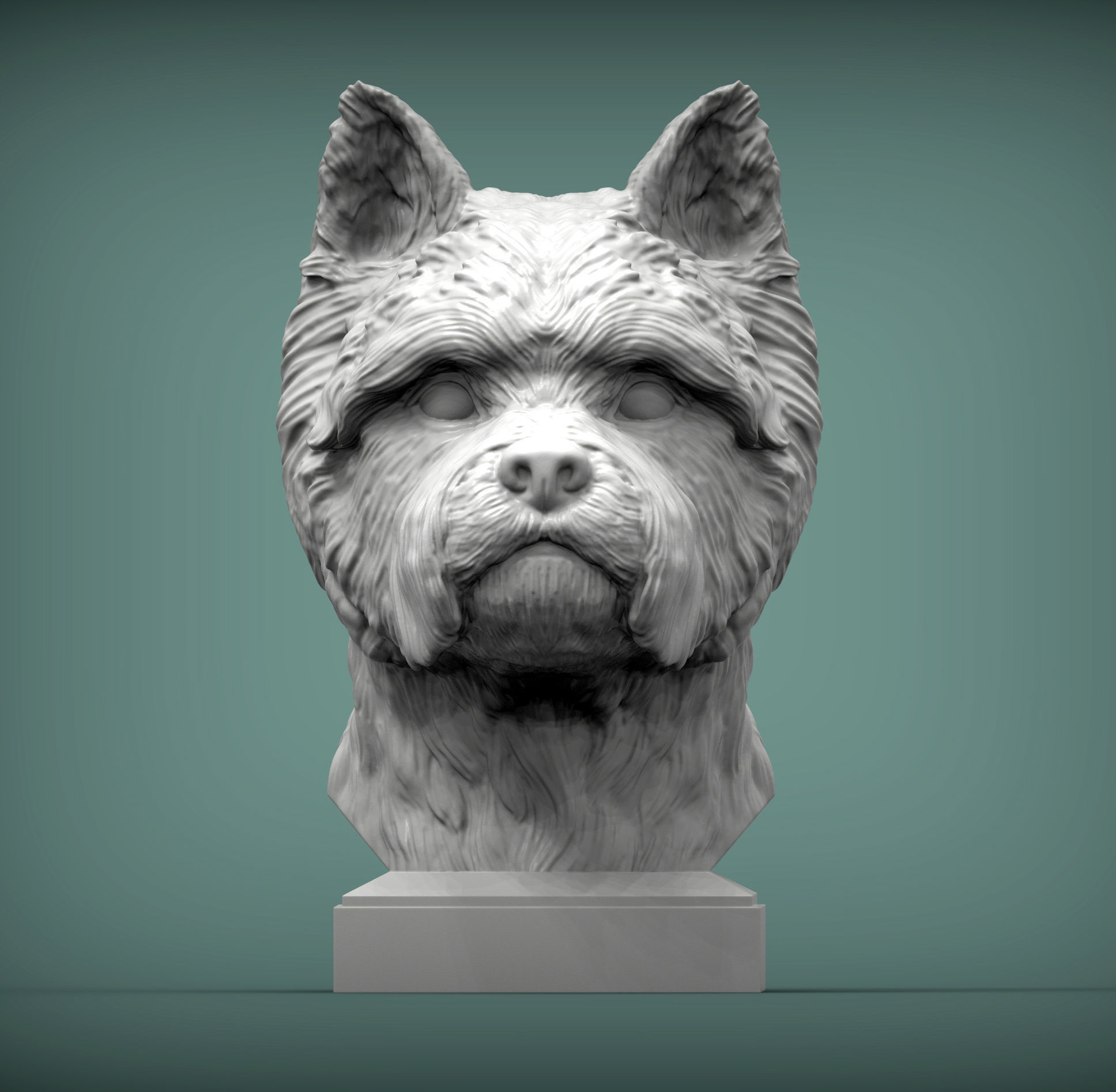 West highland white terrier bust 3D print model_1