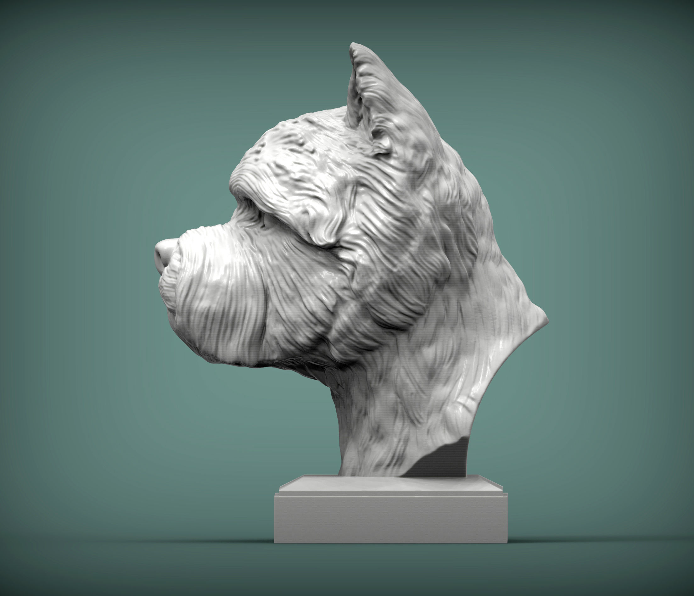 West highland white terrier bust 3D print model_2