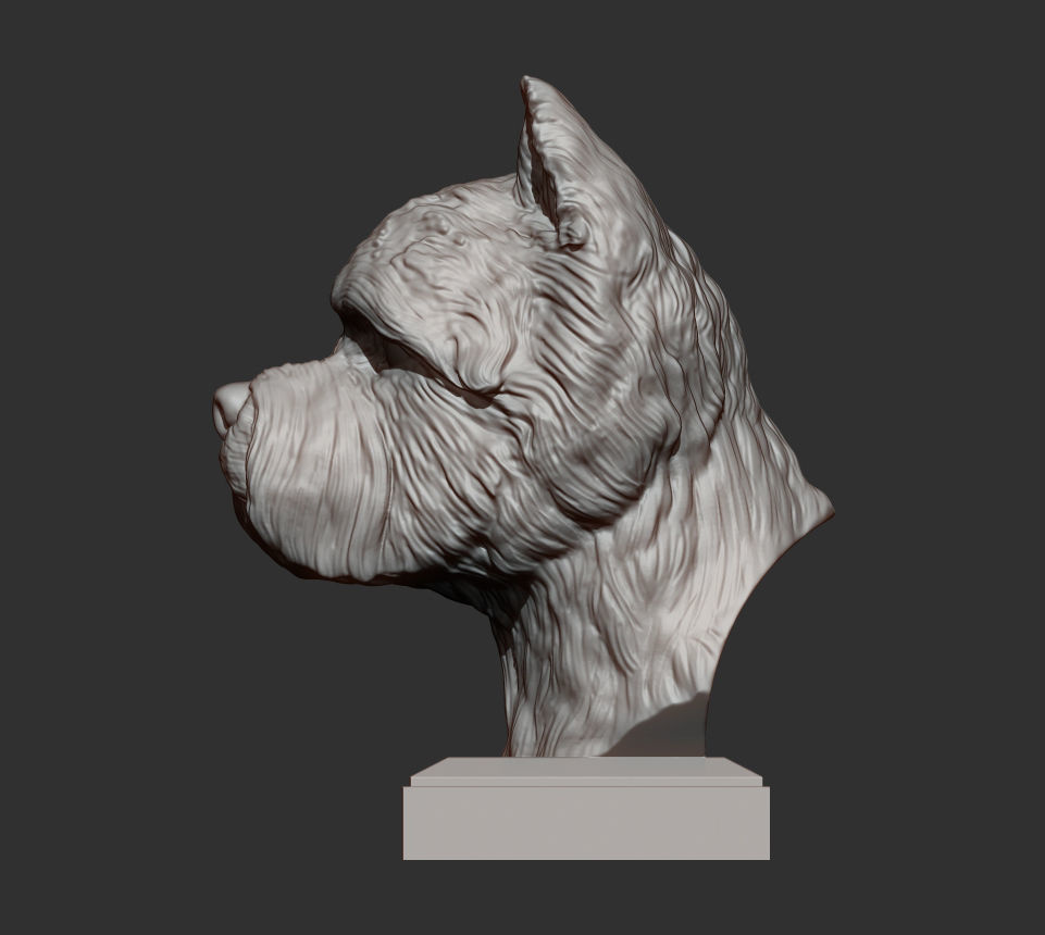 West highland white terrier bust 3D print model_6