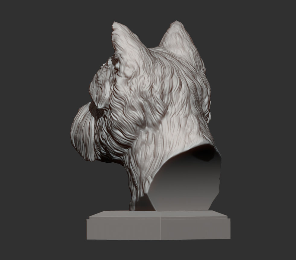 West highland white terrier bust 3D print model_4