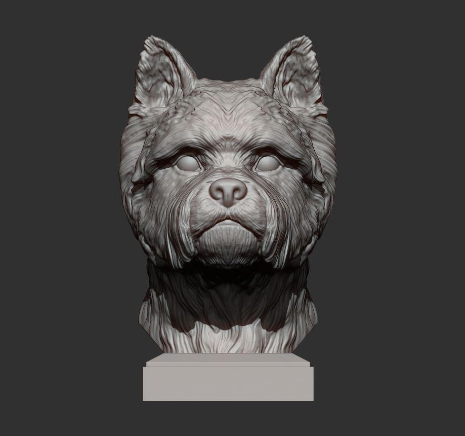 West highland white terrier bust 3D print model_7