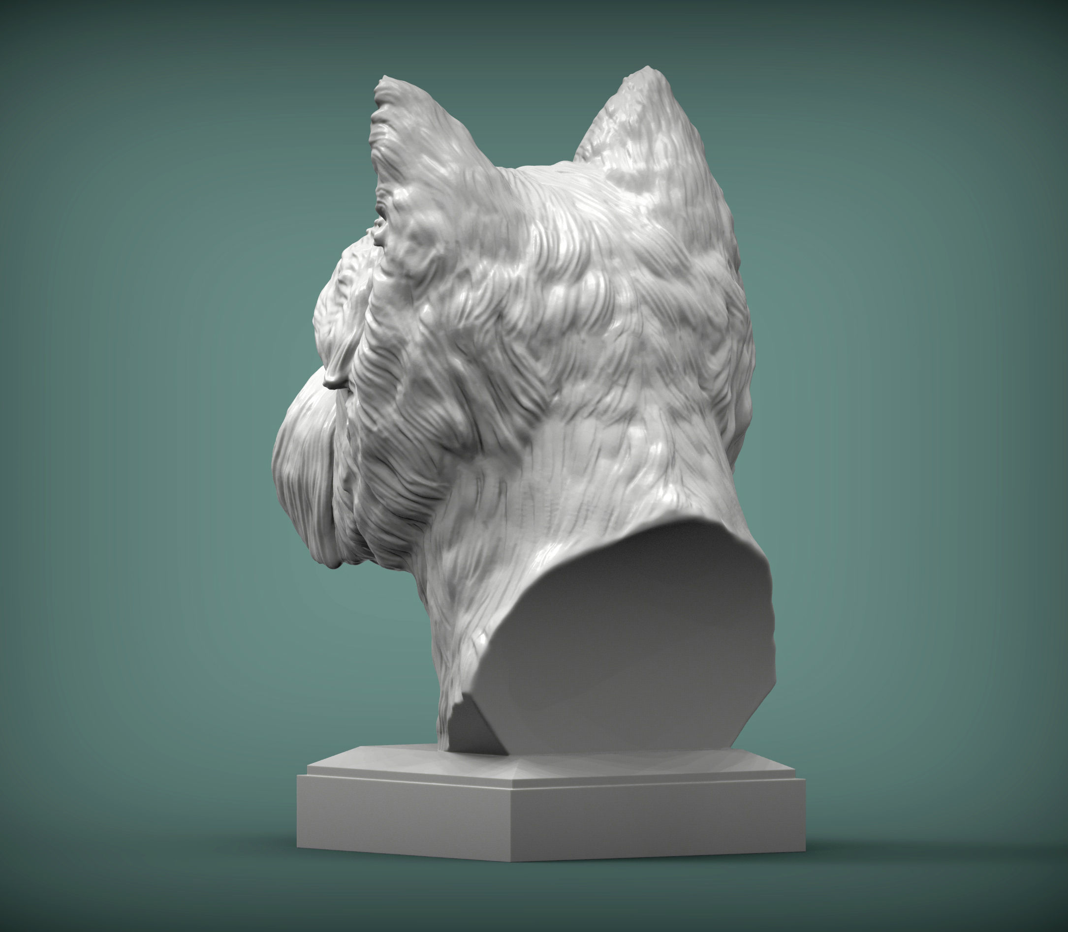 West highland white terrier bust 3D print model_3