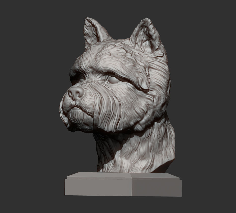 West highland white terrier bust 3D print model_5