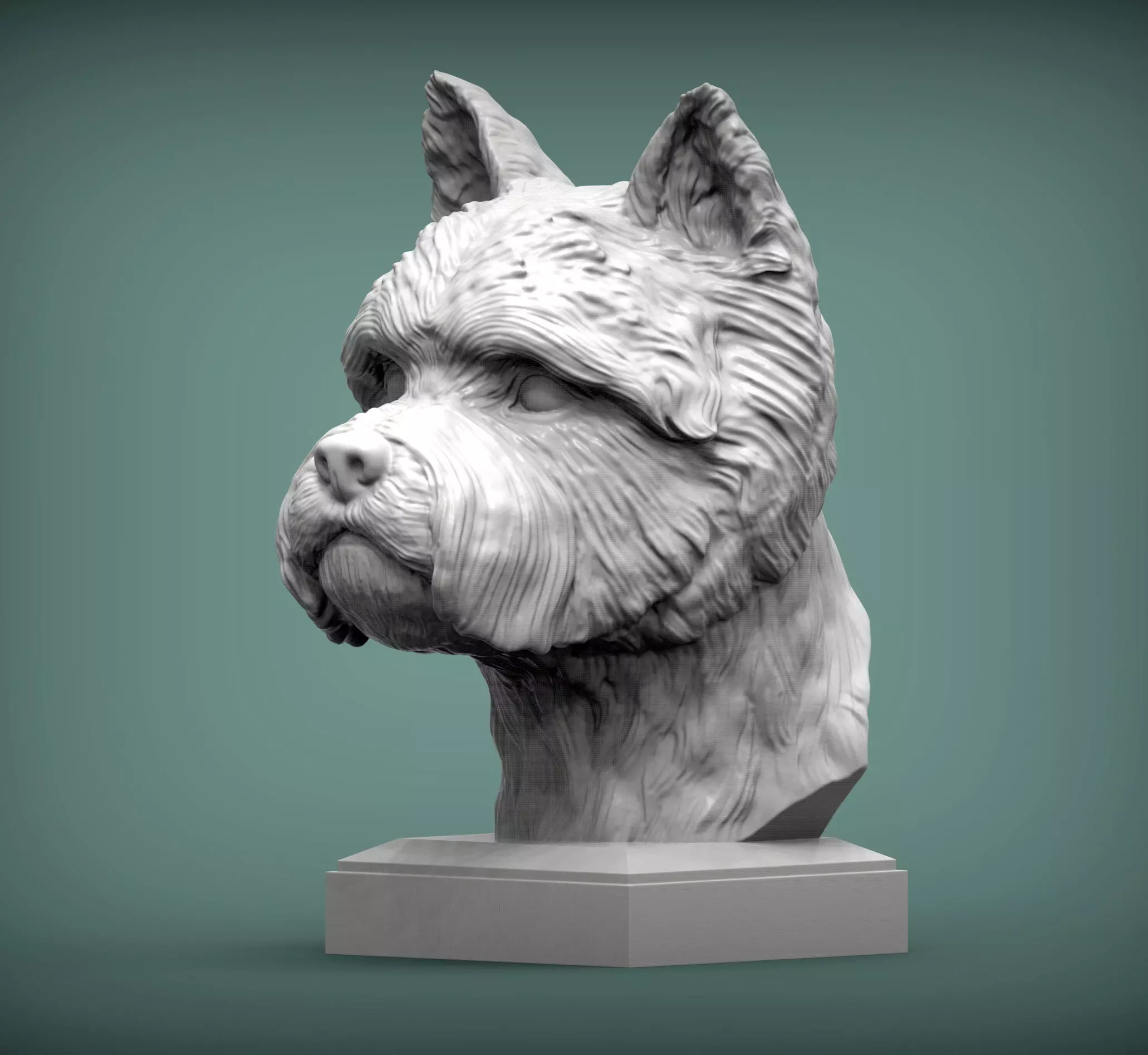 West highland white terrier bust 3D print model_0