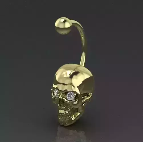 Skull Model 3493