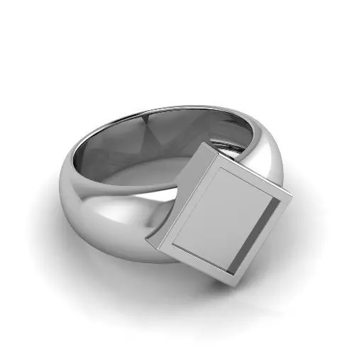 Ring Model 3469 3D print model_0
