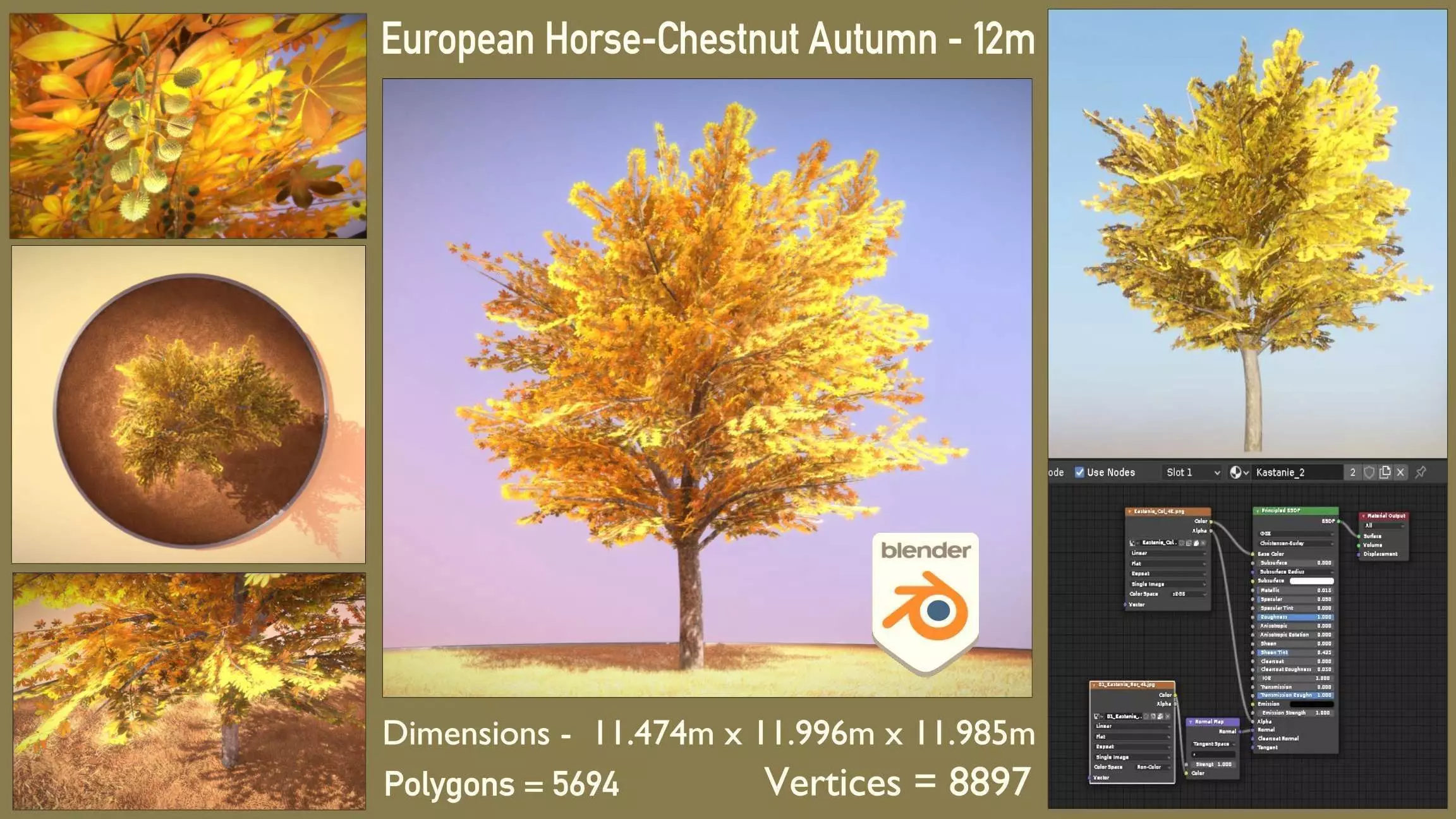 European Horse Chestnut Autumn 12m Low-poly 3D model